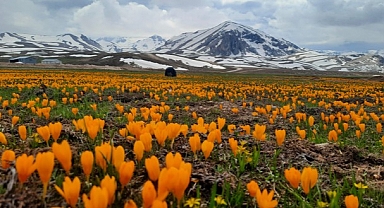 Eğrigöl tabii güzellikleriyle hayran bırakıyor