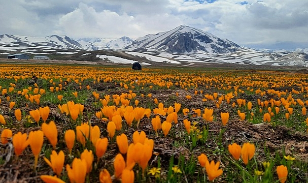 Eğrigöl tabii güzellikleriyle hayran bırakıyor
