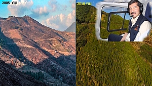 2005 Yılında Yanan Çınardibi Ormanları Küllerinden Yeniden Doğdu