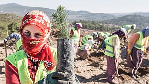 Bir Çin Atasözü Der ki: 