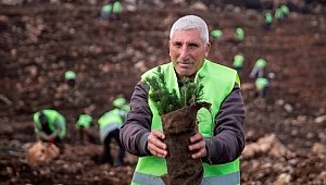 Milyonlarca Minik Fidanın Naki Dedesi