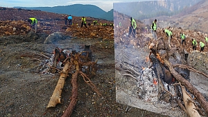 Ormanı Yakan Ateş Değildir Aslında , Ateşi Dikkatli Kullanmayan İnsandır Ormanı Yakan