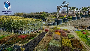 200 Bin Fidan Yemyeşil Bir Yunusemre İçin Toprakla Buluşacak 