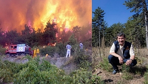 Manisa'da 30 Yılda 10 Bin Hektar Yandı , 10 Katı Alan Ağaçlandırıldı