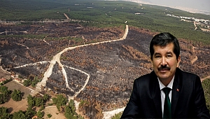 Yangının Üzerinden Bir Ay Geçmeden Ağaçlandırma Çalışmalarına Başlandı