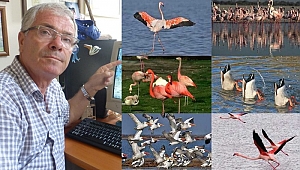 İzmir Kuş Cenneti'nden 24 Saat Canlı Yayın