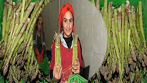 Eskişehir'de Kamu ve Özel Sektörden 