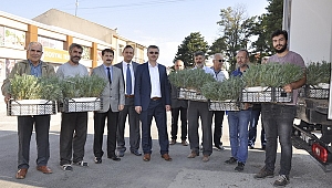 Eskişehir Lavanta Kokacak