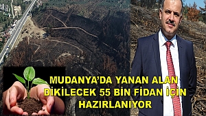 Yanan Alan Yılı İçinde Ağaçlandırılacak