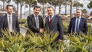 Yunusemre'de 2 Yılda 270 Bin Fidan Toprakla Buluştu