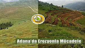 Adana’da erozyonla mücadele