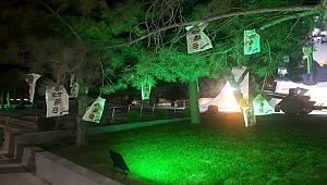 Ağaçlar Bu Kez Çiçek Değil Kitap Açtı