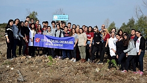 Aliağalı öğrenciler fidan dikti