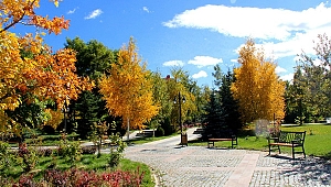Ata Botanik Park, hazan mevsiminde ilgi odağı