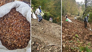 Aydınpınar Ormanları Gençleşiyor