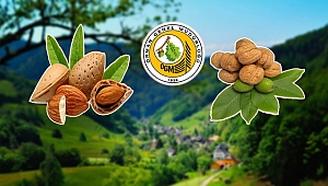 Bandırma Ormanları Orman Köylüsüne Gelir Getirecek