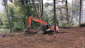 Bu sahada yeni tohumlar çıkacak fidan olacak, orman olacak