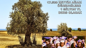 BUCA'DAN EĞİTİME ZEYTİN DALI