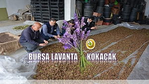 Bursa'nın Hem Havası , Hem Manzarası Değişecek