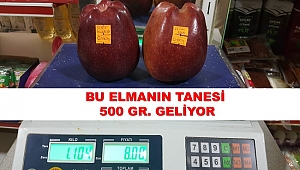 Dev Elmalar Arap Tüketicilerin Sofrasına Gidiyor