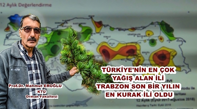 En Yağışlı İl Trabzon En Kurak İl Oldu Ağaçlar Kuruyor