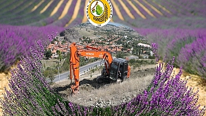 Eskigediz Beldesi lavanta kokacak 