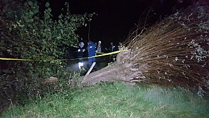 Kestiği ağacın altında kalarak hayatını kaybetti