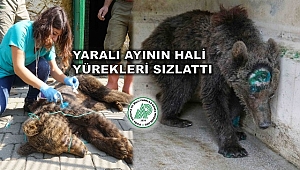 Neyseki Ovakorusu Ayı Barınağı Var