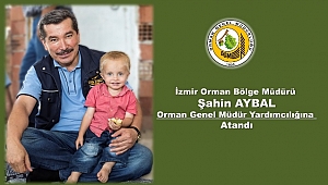 Orman Köyünden Orman Genel Müdür Yardımcılığına