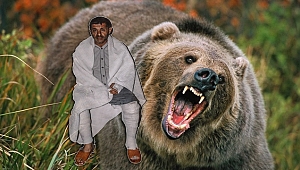 Ormanda Mantar Toplarken Ayı Saldırdı