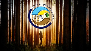 Ormanlar uzman kişilerce hazırlanan sistemlerle korunmalı