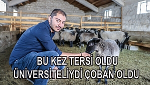 Üniversiteyi bırakıp çoban oldu