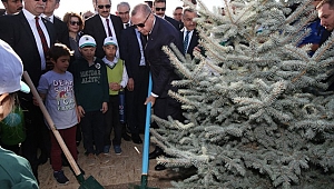 Cumhurbaşkanı Erdoğan: “Türkiye erozyon ile mücadelede dünya lideridir”