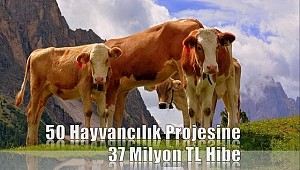 50 hayvancılık projesine daha 37 milyon lira hibe verilecek