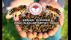 Arılar ölmeyecek