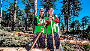 Demircili Orman Köylüsü Kadınlar Ellerinde Balta Ekmek Peşindeler