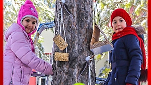 Minik eller kuşları soğuktan koruyacak