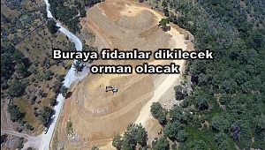 90 Futbol Sahası Büyüklüğündeki Moloz Döküm Alanı Ormana Dönüşecek