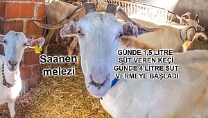 Balıkesirli muhtar örnek yetiştirci oldu