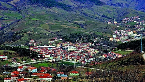 Düzce'nin Yığılca ilçesinde bilim dünyası için yeni keşif