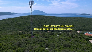 Maltepe’de korkutan orman yangını