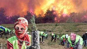 Manisa’da 2018’de 96 Ha. Orman Alanı Yandı, 4 Katı Alan Ağaçlandırıldı