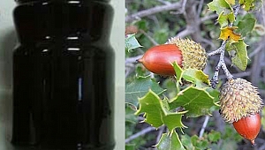 Meşe Balı Antioksidan Deposu