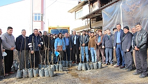 Ödemiş Belediyesi Üreticiye 53 Bin Fidan Dağıtıyor