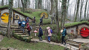 Ormanya minikleri bekliyor