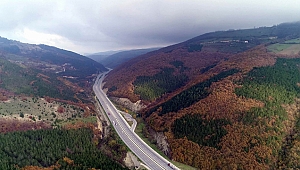Samsun'da 1 yılda 2 milyona yakın fidan toprakla buluştu