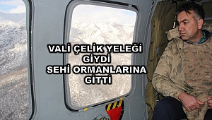 Sehi Ormanları bölgesinde operasyonlarına devam ediyor