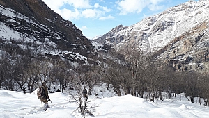 Sehi Ormanlarına Gizlenen Terör Örgütüne Ağır Darbe