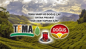 TOPRAK VARSA ÇAY DA VAR