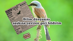 Bilim dünyasını şaşkına çeviren 80 yıllık geri bildirim